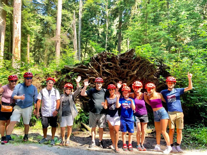 Vancouver: Stanley Park Bike Tour | E-Bike Upgrade Avail. - Vancouver Harbour to the West End: Smooth Rolling Views