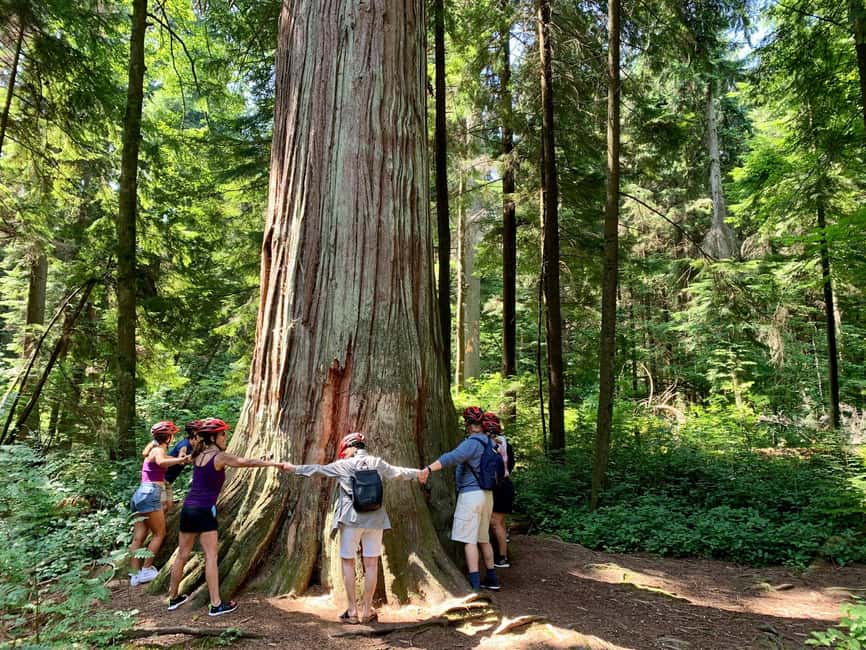 Vancouver: Stanley Park Bike Tour | E-Bike Upgrade Avail. - Starting at Spokes Bicycle Rentals, Then Into a Real Local Pace