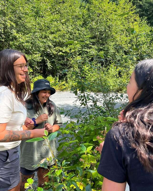Vancouver: Stanley Park Talking Trees Tour - A few practical tips to get more out of it