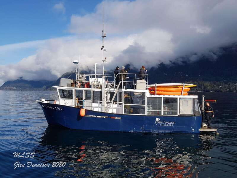 Vancouver: Sunset Boat Cruise with Complementary Bubbly - What the Feedback Suggests About the Experience