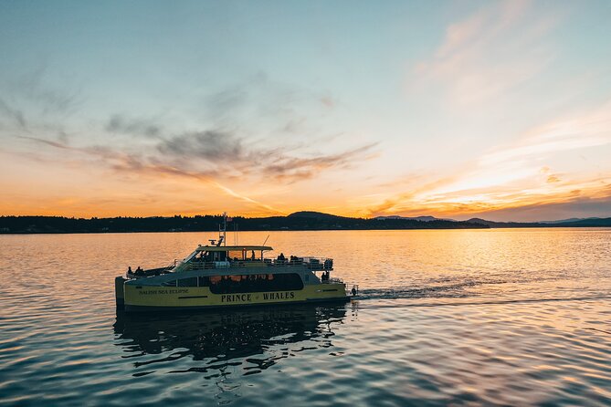 Vancouver Sunset Whale Watching Adventure with Free Photos - What you can expect once you are out on the water