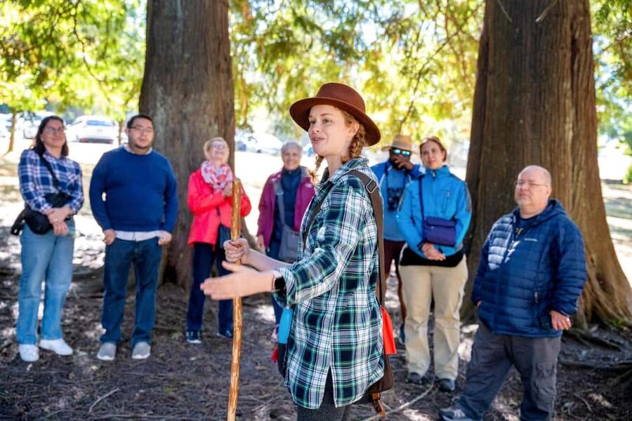 Vancouver: The Dark Secrets of Stanley Park Tour - Key Things You Should Know Before You Go