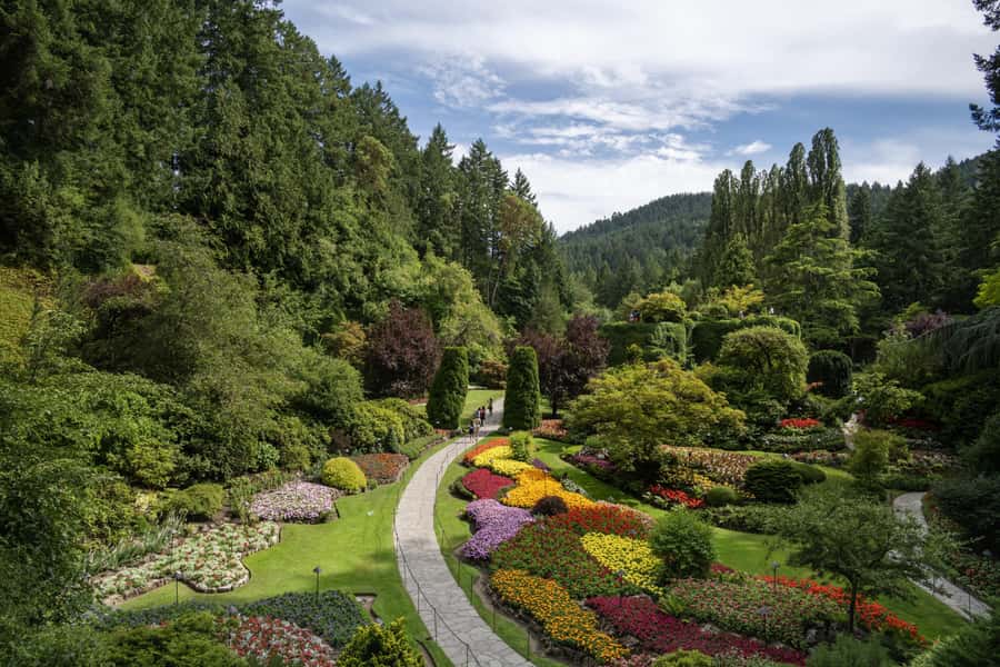 Vancouver to Victoria Seaplane Day Trip + Butchart Gardens - Victoria on your own clock: Inner Harbour walks, Parliament, Empress, and seaside lunch