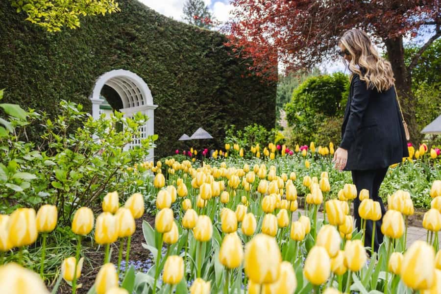 Vancouver to Victoria Seaplane Day Trip + Butchart Gardens - Who this trip suits best, and who should choose another plan