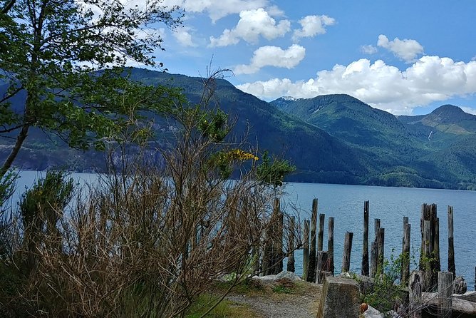 Vancouver to Whistler Private Tour - The real value: a guide who stays calm, answers questions, and adapts