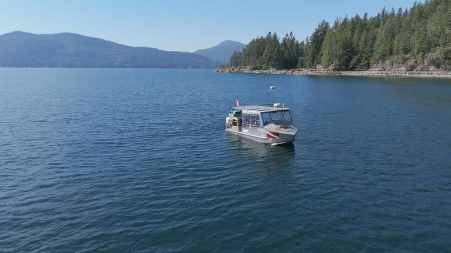Vancouver UNESCO Biosphere Reserve Wildlife Scenic Boat Tour - Howe Sound is the whole point, and the timing is just right
