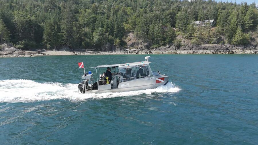 Vancouver UNESCO Biosphere Reserve Wildlife Scenic Boat Tour - Guide Victor’s role: how the tour keeps you informed without turning into a lecture