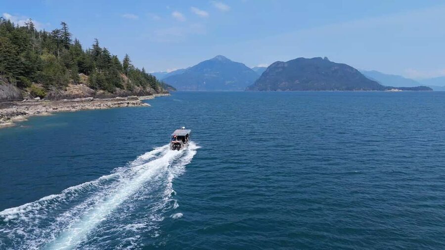 Vancouver UNESCO Biosphere Reserve Wildlife Scenic Boat Tour - Why the Small Boat, Max 10, Changes the Game