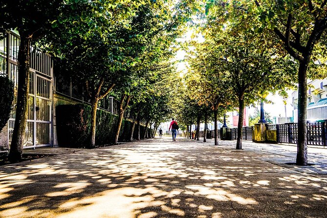 Vancouver Walking Tour: Explore Top Sights & Hidden Gems - Key things to know before you go