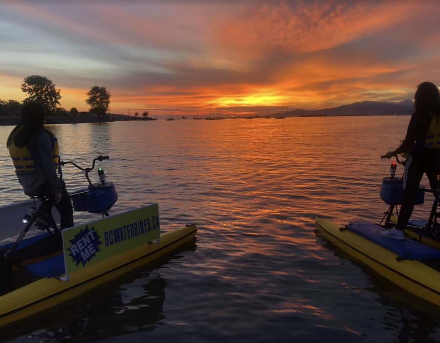 Vancouver: Water Bike Rental in False Creek - Wildlife Spotting Without the Snorkel Gear
