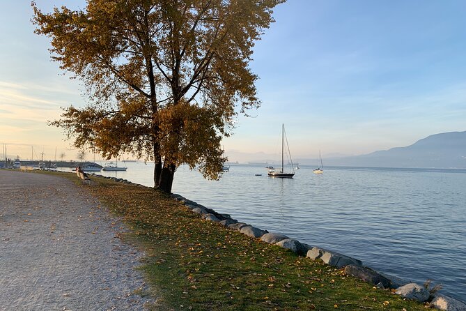 Vancouver Waterfront Guided Bike / Ebike Tour - Stanley Park on two wheels: the iconic loop and the best viewpoints
