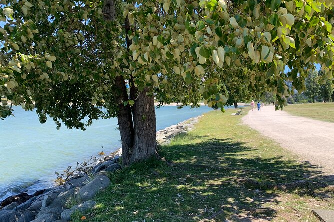 Vancouver Waterfront Guided Bike / Ebike Tour - The e-bike advantage: comfort, control, and real sightseeing time