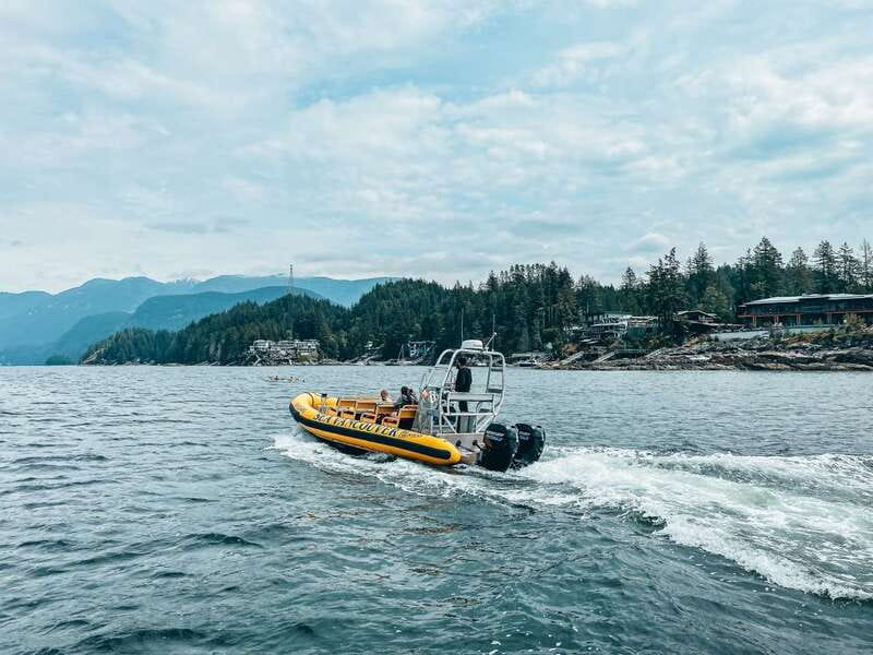 Vancouver: Waterfront Sightseeing Tour - City and Nature - Getting on board at 1666 Duranleau St, Granville Island