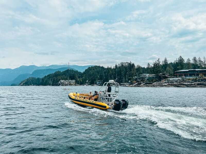 Vancouver: Waterfront Sightseeing Tour - City and Nature - Wildlife focus: Lighthouse Park, Point Atkinson, and Grebe Islets