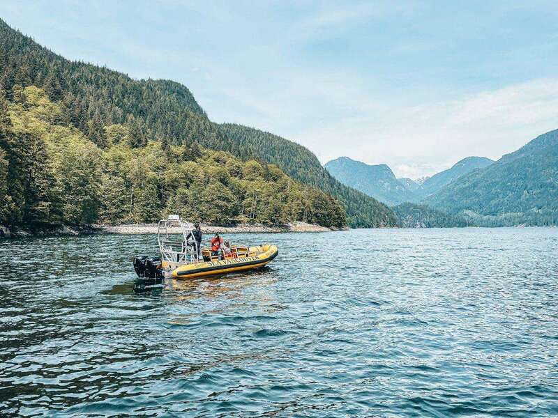 Vancouver: Waterfront Sightseeing Tour - City and Waterfall - Wildlife spotting: seals, bald eagles, and the real approach