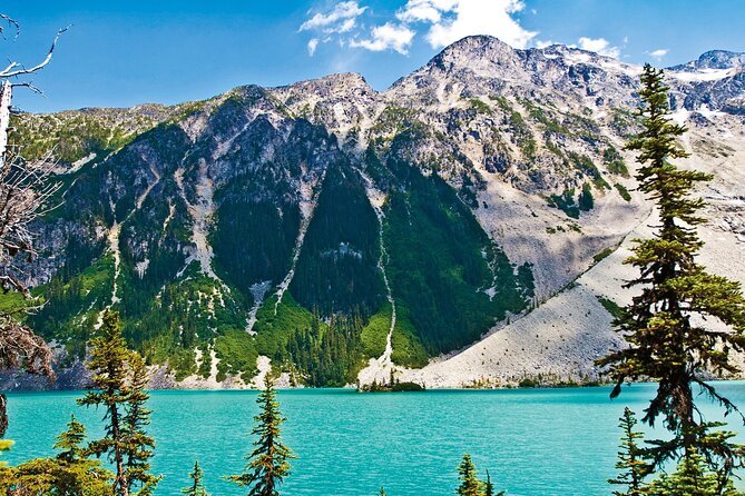 Vancouver: Whistler, Shannon Falls, Peak to Peak Gondola Day Tour - Who should book this Whistler day tour