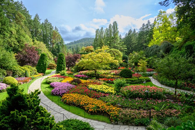 Victoria and Butchart Gardens, an Elevated Experience - Tsawwassen to Swartz Bay, your 90 minutes of wildlife and views