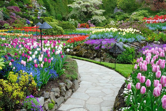 Victoria and Butchart Gardens Day Trip from Vancouver - Downtown Victoria in a 3-Hour Window: What You Can Actually Do