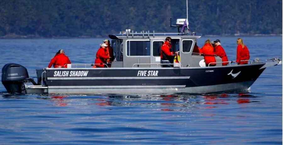 Victoria, BC: 3-Hour Ultimate Whale & Marine Wildlife Tour - What the marine biologists do differently (and why you should care)