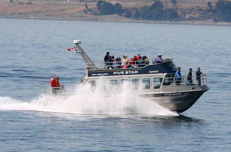 Victoria BC: 3-Hour Whale Watching Expedition - Getting To the Boat: Fairmont Empress Area, Then Out on the Salish Sea