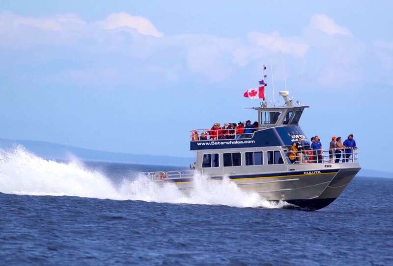 Victoria BC: 3-Hour Whale Watching Expedition - Price and Value: Is $130 Worth It for 3 Hours on the Water?