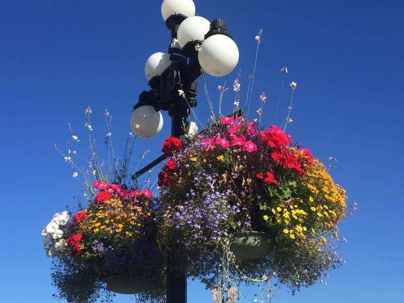 Victoria, BC: City Tour and Butchart Gardens Combo Tour - Should You Book This Victoria and Butchart Gardens Combo Tour?
