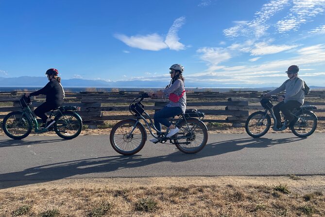 Victoria BC - Coast & Castle Tour by E-Bike - Beacon Hill Park and Clover Point: your first big Victoria hits