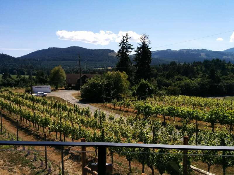 Victoria, BC: Food & Wine Tour to the Cowichan Valley - The three organic wineries: what you should expect from tastings