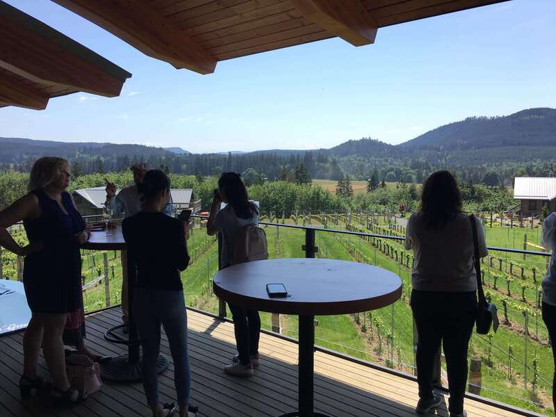 Victoria, BC: Food & Wine Tour to the Cowichan Valley - Small group size, Van comfort, and getting value from your guide