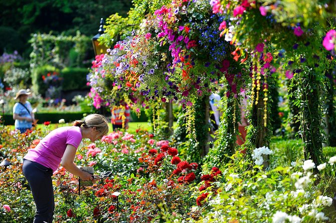 Victoria & Butchart Gardens Tour with Ferry from Vancouver - Should You Book This Victoria and Butchart Gardens Ferry Tour?