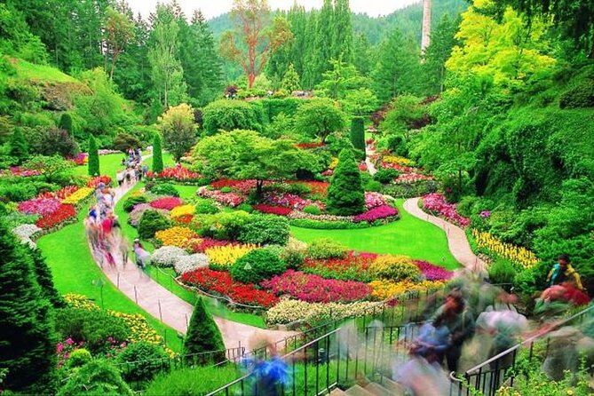 Victoria: Butchart, Mile 0, Harbor 1-Day Tour from Vancouver - Morning Logistics: Pickup Times That Set the Tone