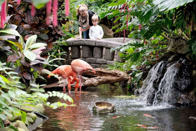 Victoria: Butterfly Gardens Admission Ticket - Key Things Worth Knowing Before You Go