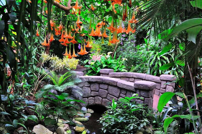 Victoria: Butterfly Gardens Admission Ticket - First Look: What You Actually Experience in One Day