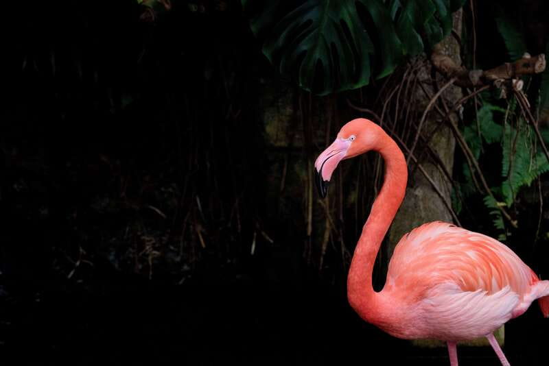 Victoria: Butterfly Gardens Admission Ticket - Price and Value: Is $15 Worth It?