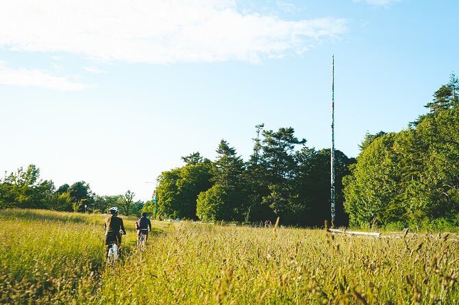 Victoria City Highlights 3 Hour Bike Tour, eBike Upgrade Avail. - Stop-by-stop: what you see, what to watch for, and how long you get