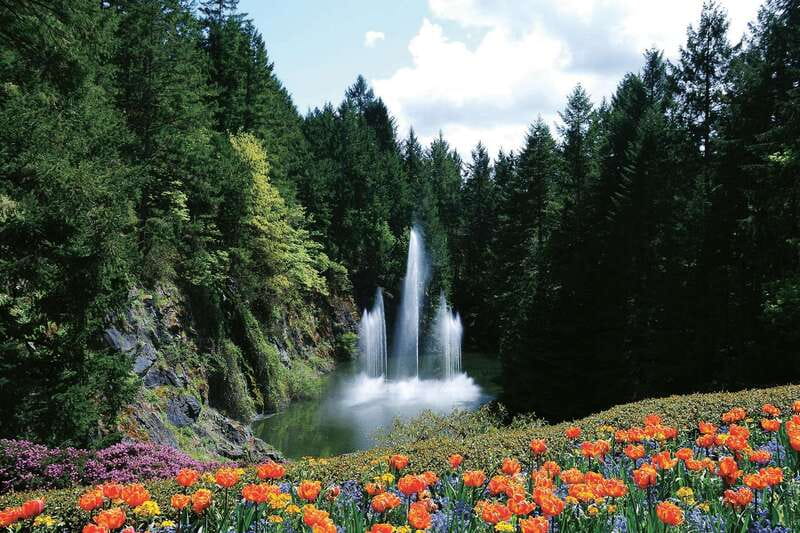 Victoria: City Highlights and Butchart Gardens Tour - Beacon Hill Park by car, and how to read a Victoria park