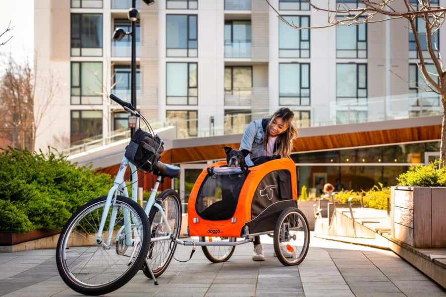 Victoria City Highlights Bike Tour - Castle Hoods & Legends - Craigdarroch Castle and Rockland, where the hills turn into views