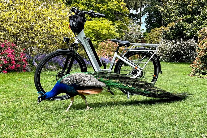 Victoria City Highlights E-Bike Tour - Hoods & Legends - Pacing, Fitness, and How the E-Bikes Feel in Real Use