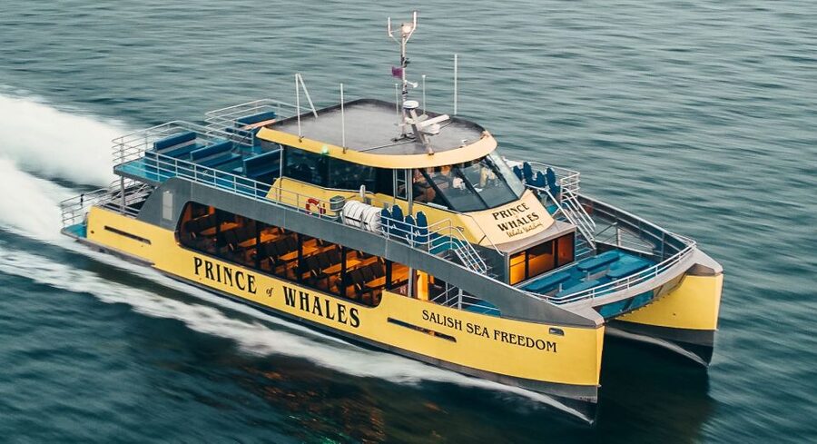 Victoria: Covered Whale Watching Adventure with Free Photos - The Free Photo Package: Better Than Playing Photographer