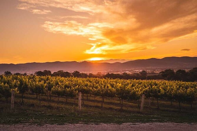 Victoria Full Day Guided Wine Tour With 4 Wineries - Enrico Winery: An Educational Tasting for Sparkling, Rosé, Whites, and Reds
