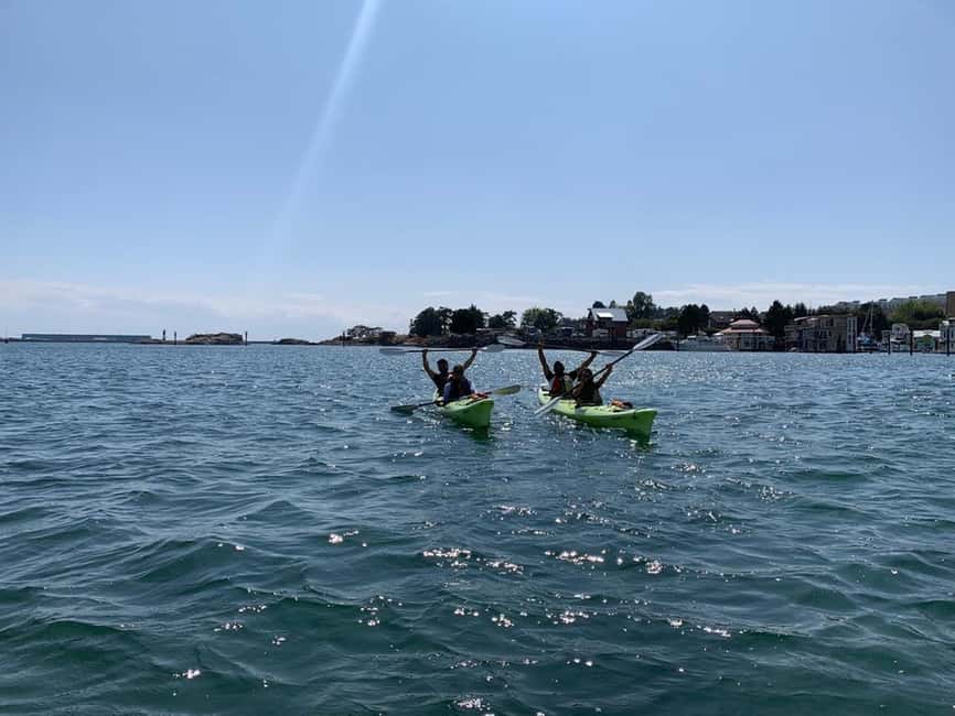 Victoria: Guided Kayak Tour Adventure - Key things that make this kayak tour worth your time