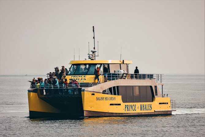 Victoria Half-Day Whale Watching Adventure with Free Photos - The Free Photo Package, Hot Chocolate, and Why This Tour Feels “Done For You”