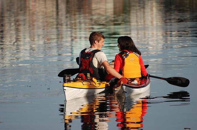 Victoria Harbour Kayak Tour - The paddling part: what you learn and why it matters