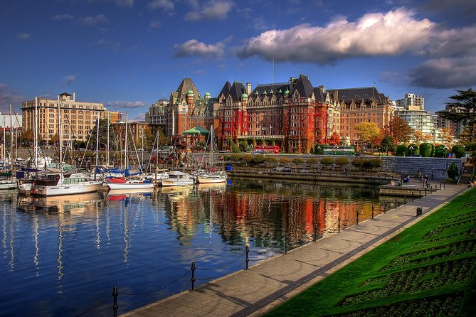 Victoria Harbour Kayak Tour - Wildlife, birds, and the rhythm of harbour traffic