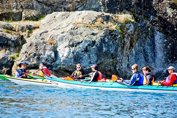 Victoria Harbour Kayak Tour - How the 2.5-hour flow works on the water
