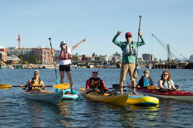 Victoria: Kayak Harbour Tour - Price and Value: Is $72 Worth It?