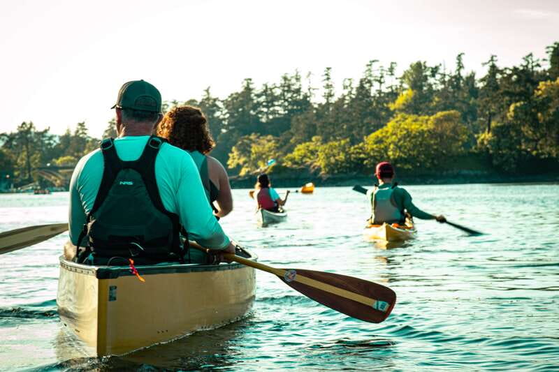 Victoria: Kayak Harbour Tour - Inner Harbour Views: More Than Just Pretty Boats