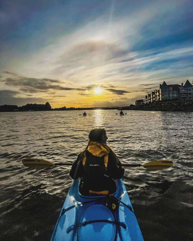 Victoria: Kayak Harbour Tour - Wildlife Spotting in a NatureHood Setting