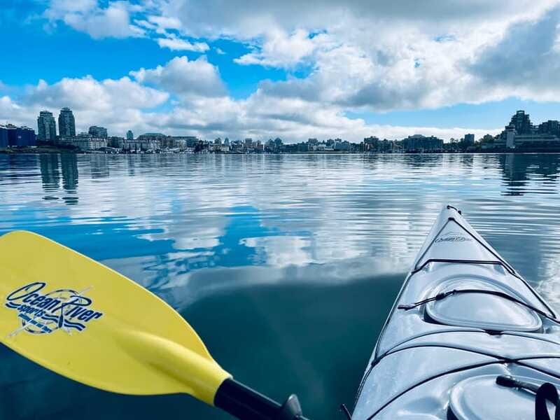 Victoria: Kayak Harbour Tour - Who the Guides Are Like (And Why It Matters)