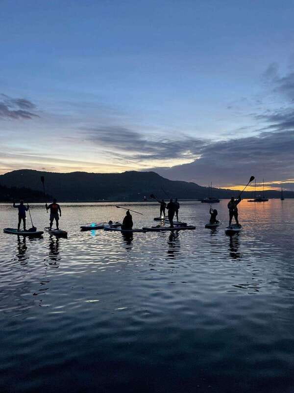 Victoria: Marine Wildlife Guided SUP Adventure - Key points to know before you paddle